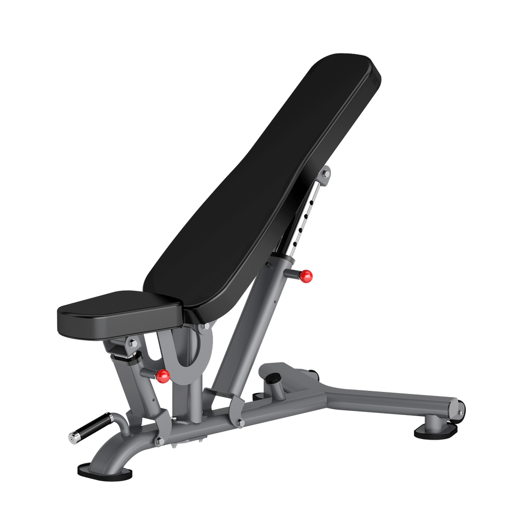 INSIGHT ONYX Adjustable Bench