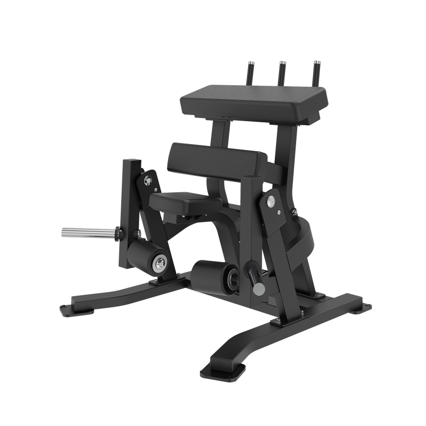 INSIGHT IRON Standing Leg Curl
