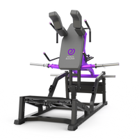 V Squat