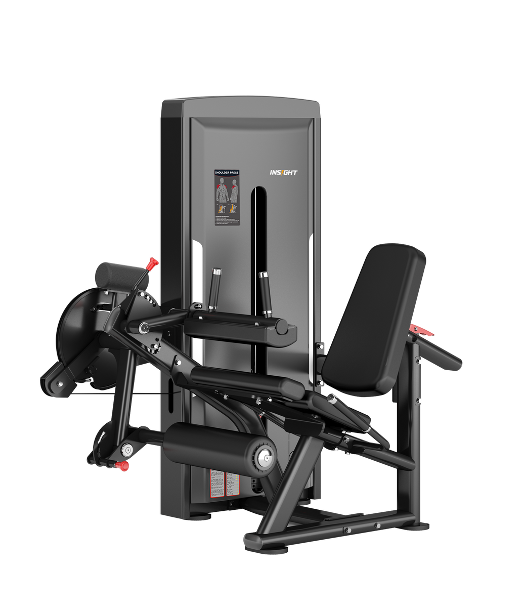 INSIGHT ONYX Leg Curl / Extension
