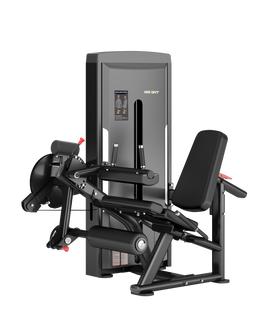 INSIGHT ONYX Leg Curl / Extension