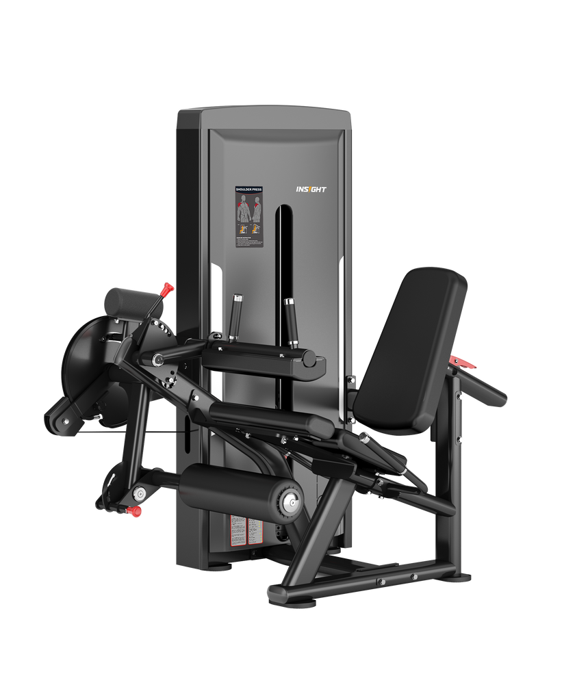 INSIGHT ONYX Leg Curl / Extension