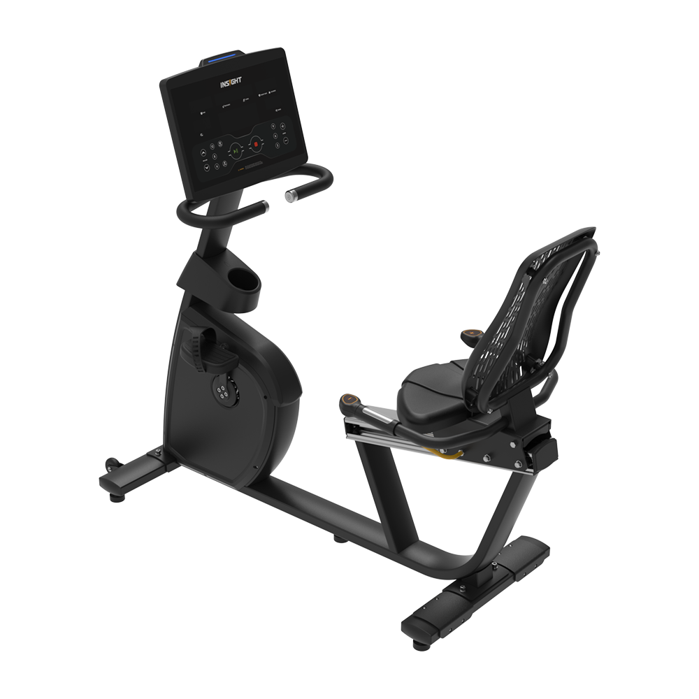 INSIGHT THUNDER Recumbent Bike