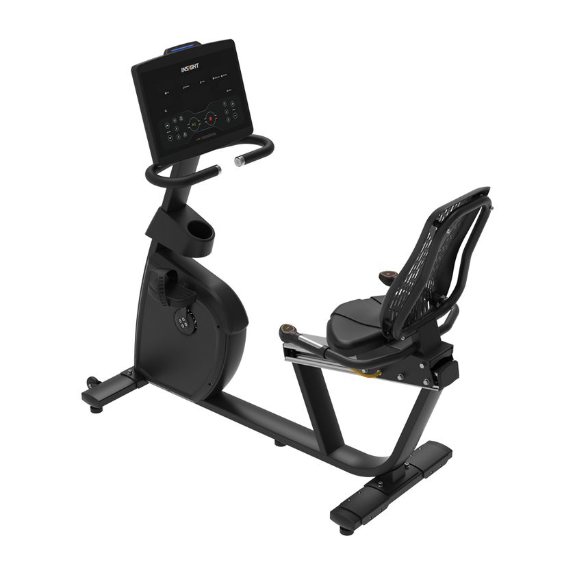 INSIGHT THUNDER Recumbent Bike