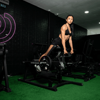 Multi Hip Extension