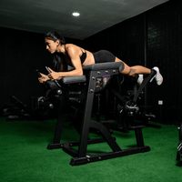 Reverse Hyperextension